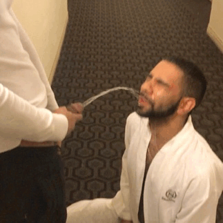 1b.gif