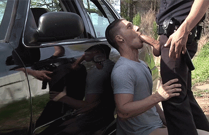 1a.gif
