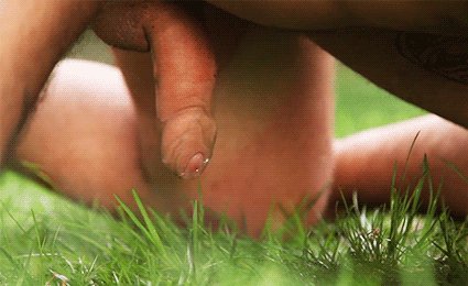 1--1--copie-8.gif