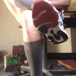 1-copie-10.gif