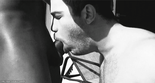 1--1--copie-1.gif