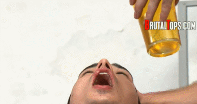 1-copie-7.gif