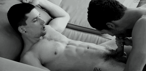 1--2--copie-1.gif