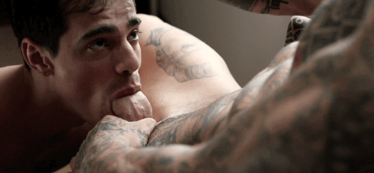 tumblr_obf28d1xR31rdlg4wo1_540.gif