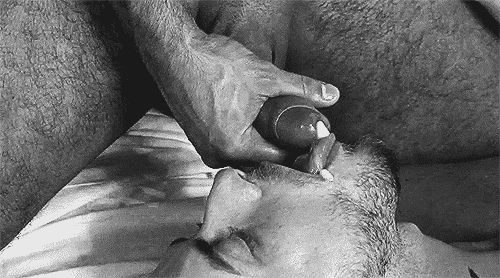 1.gif