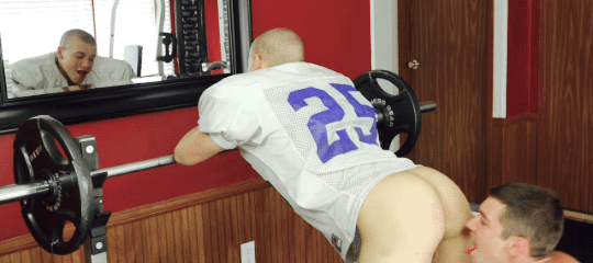 1--2--copie-8.gif