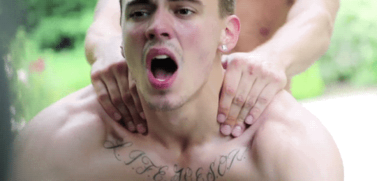 1-copie-1.gif