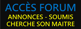 LIEN FORUM SOUMIS CHERCHE MAITRE - 05